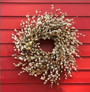 Make a Beautiful Pussy Willow Wreath_F
